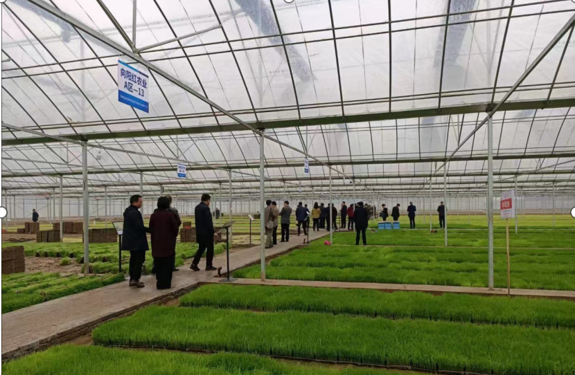 202104201442199907.png 202104201442199907.png