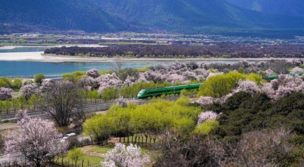 wps_doc_2.jpg wps_doc_2.jpg